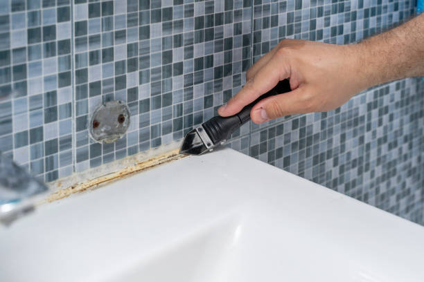 Best Best Mold Removal Companies  in Dentsville, SC