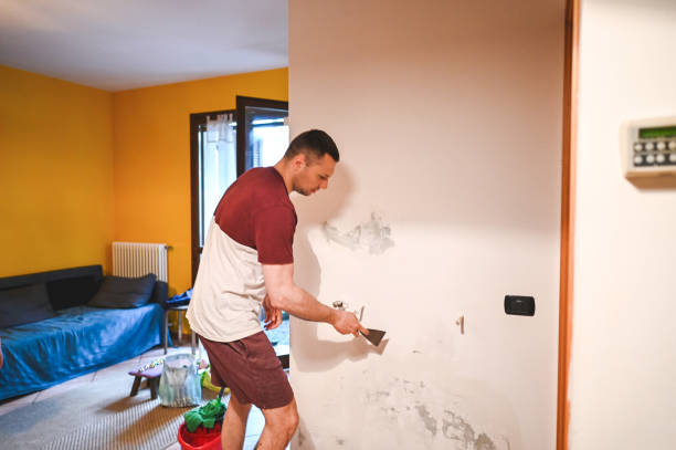Home Mold Removal in Dentsville, SC